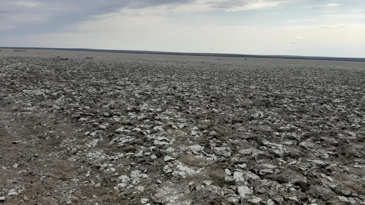 Salvarea lacului Nuntași: A fost decomaltat primul canal dintre lacul Nuntași și lacul Histria, pe o lungime de 500 de metri