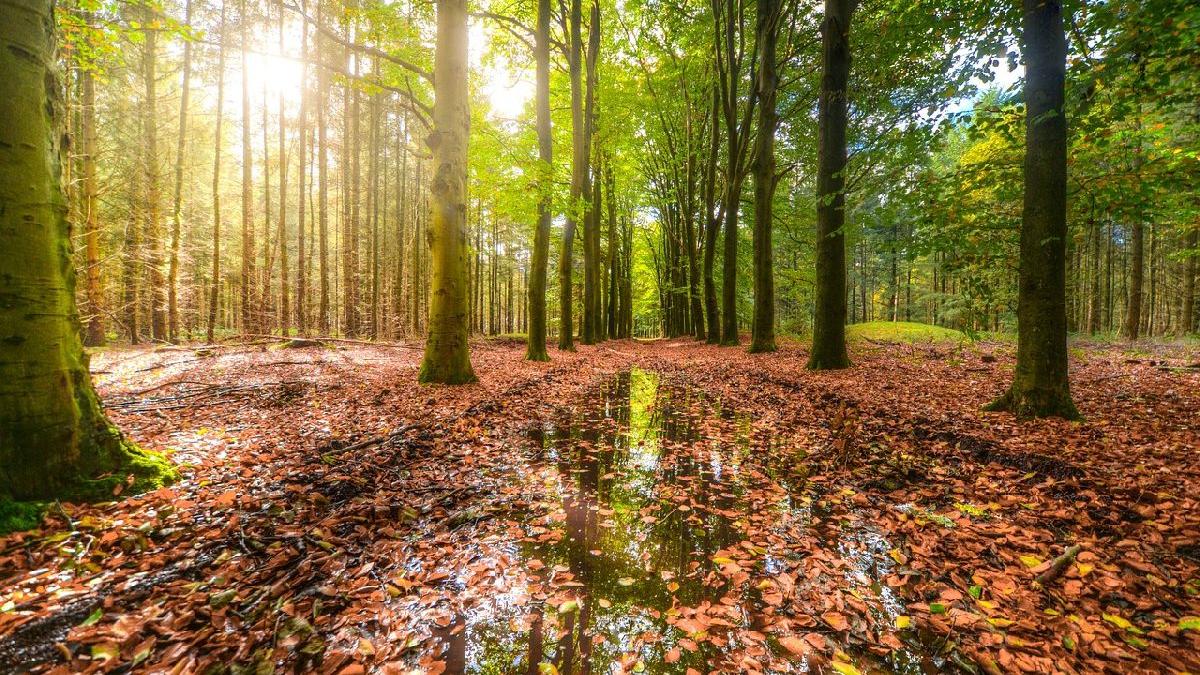 Prognoza METEO pentru 14, 15, 16 și 17 septembrie: Cer senin