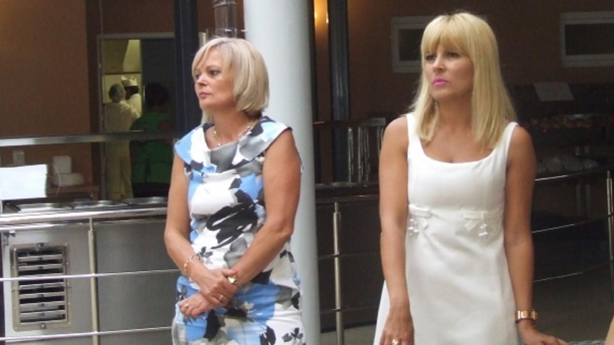 Cum era Elena Udrea să fie „jefuită” de fosta sa parteneră de afaceri. Operațiunea „împrumutul”, pentru preluarea activelor Băi Boghiș, blocată definitiv de Curtea de Apel Cluj