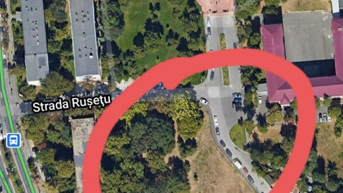 Giuleştenii se luptă pentru copacii de sub geam