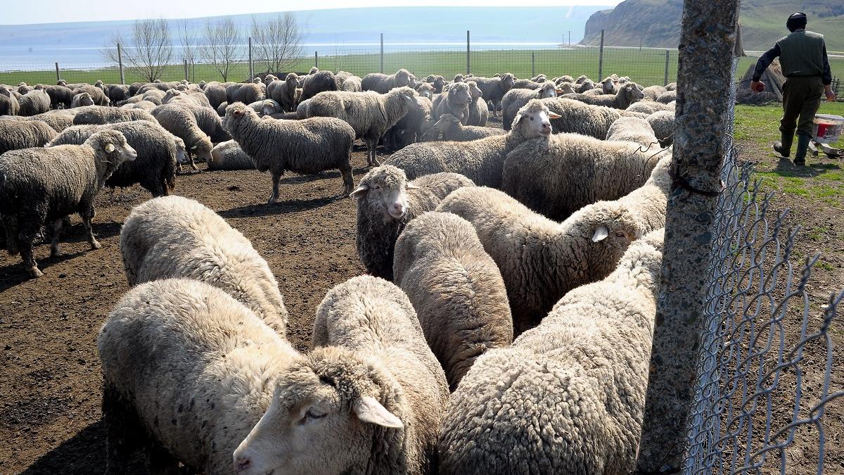 Începe luna cadourilor pentru fermierii activi