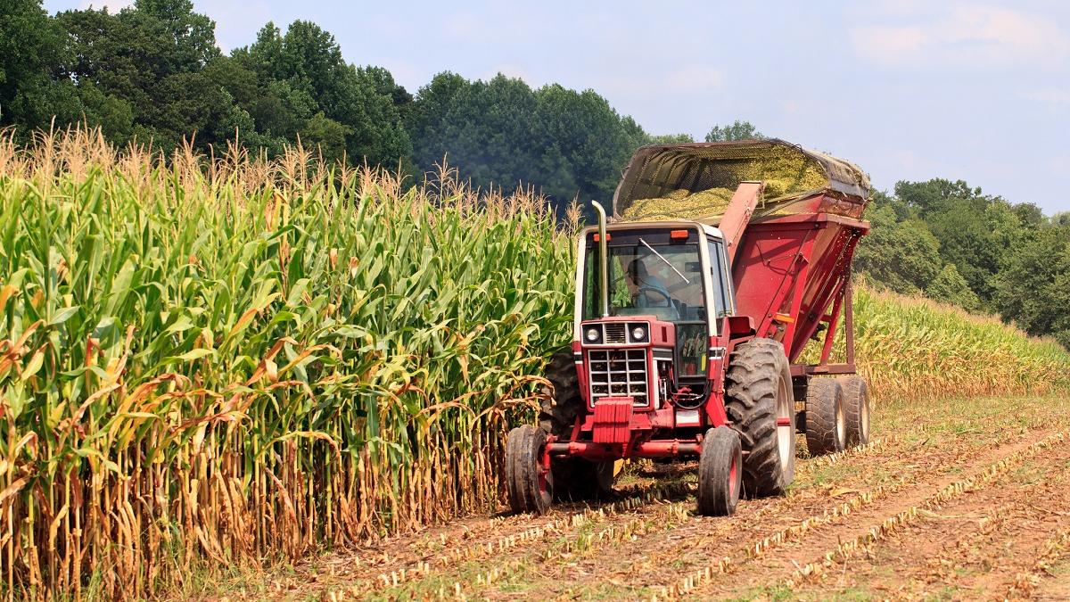 Dan Motreanu: Ajutorul național tranzitoriu pentru agricultori, prelungit și după 2022