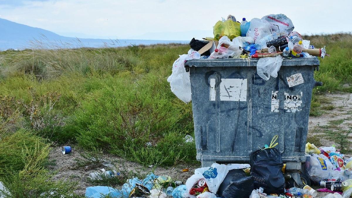 România, trasă de urechi la UE: Proceduri de infringement pe mediu, privind deșeurile, natura, apa și calitatea aerului!