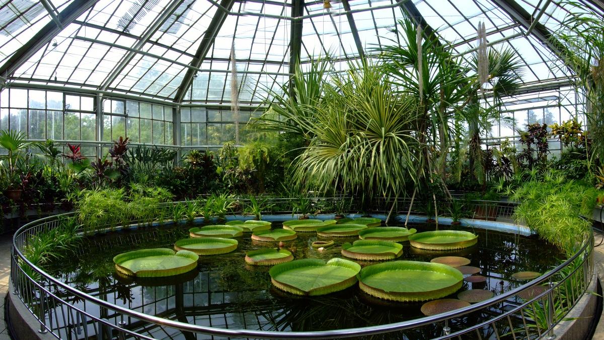 Grădina Botanică împlinește 160 de ani