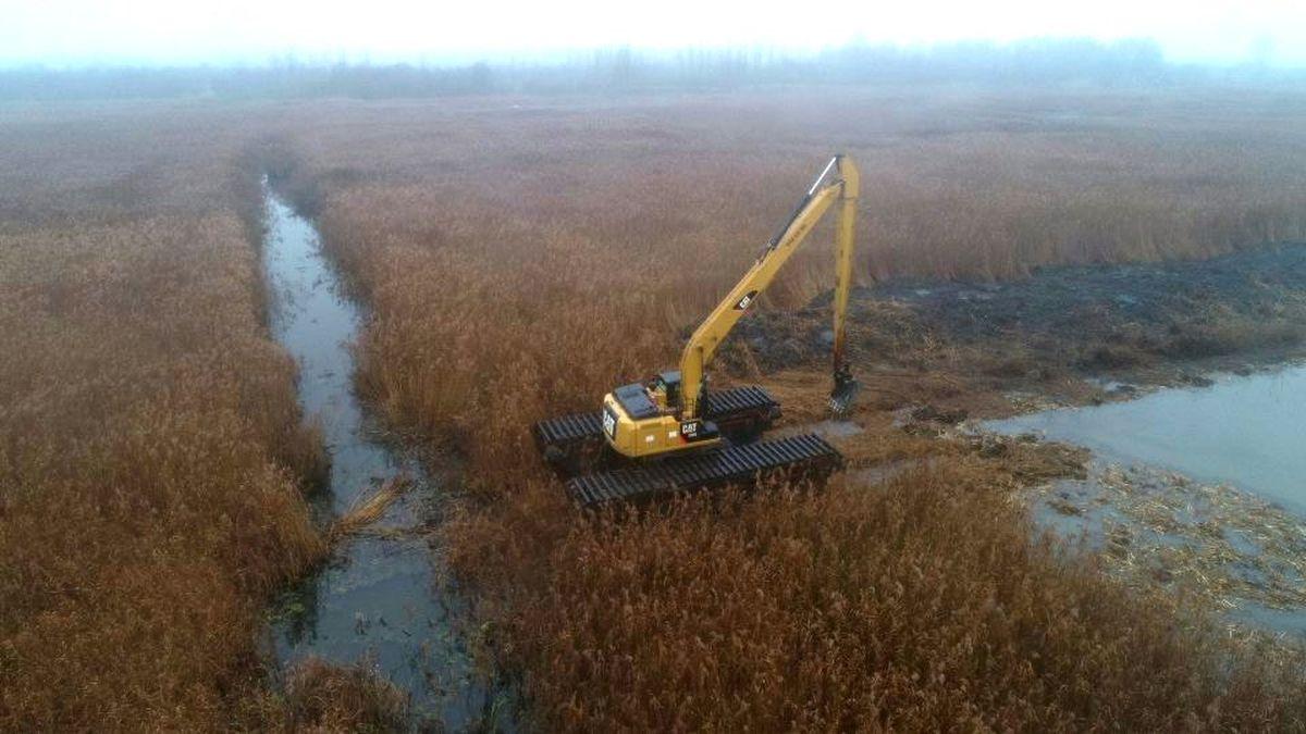 Reconstrucţie ecologică pe malul Dunării