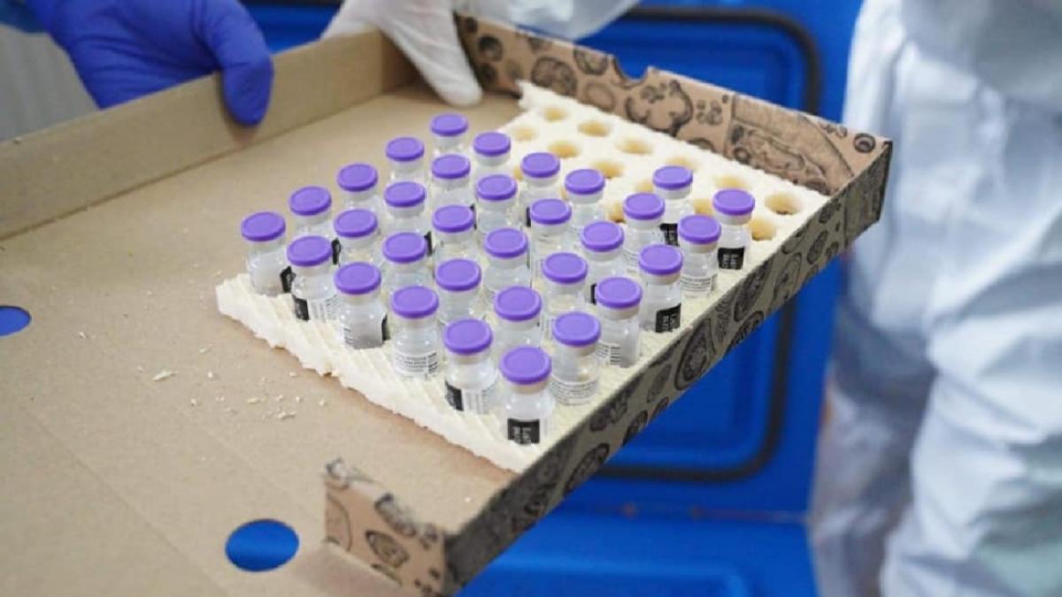 Ce spune medicul Virgil Musta, despre vaccinurile livrate în cutii de pizza. „E o situație ciudată! Arată o lipsă de organizare”