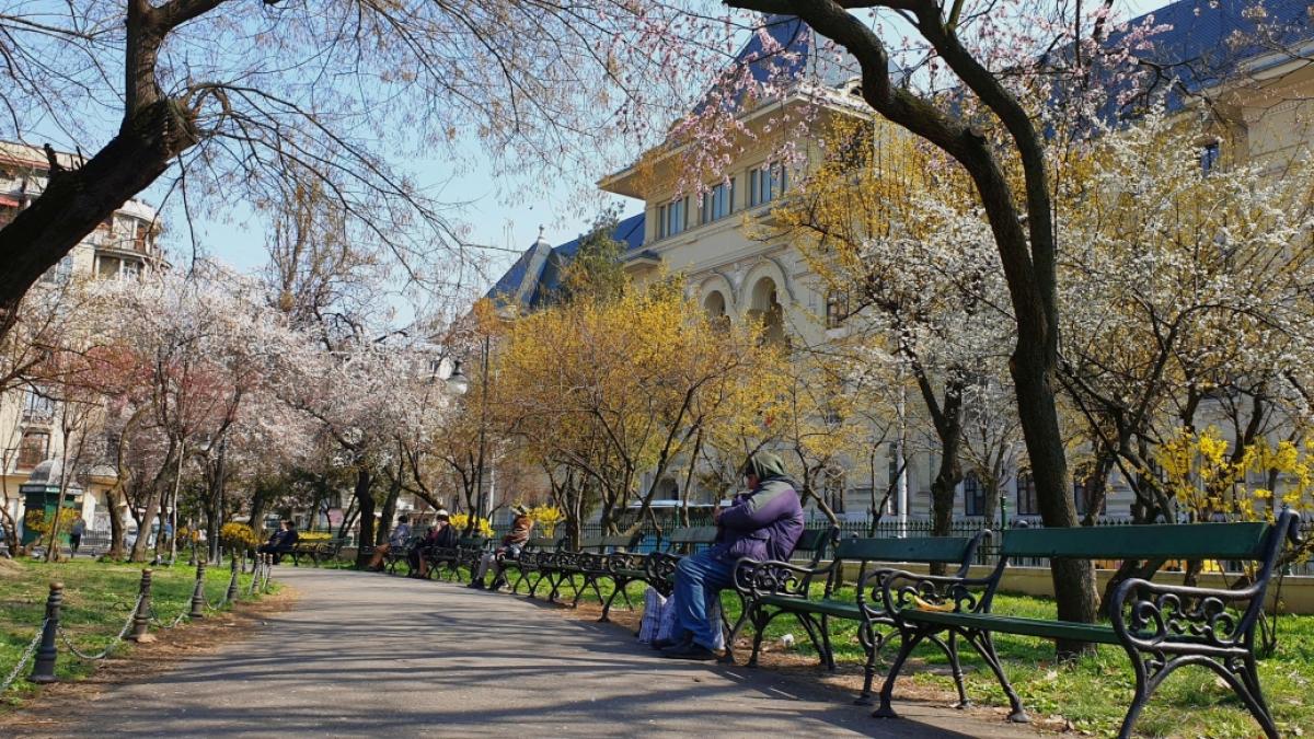 Prognoza meteo pentru următoarele patru săptămâni: Temperaturi peste media perioadei