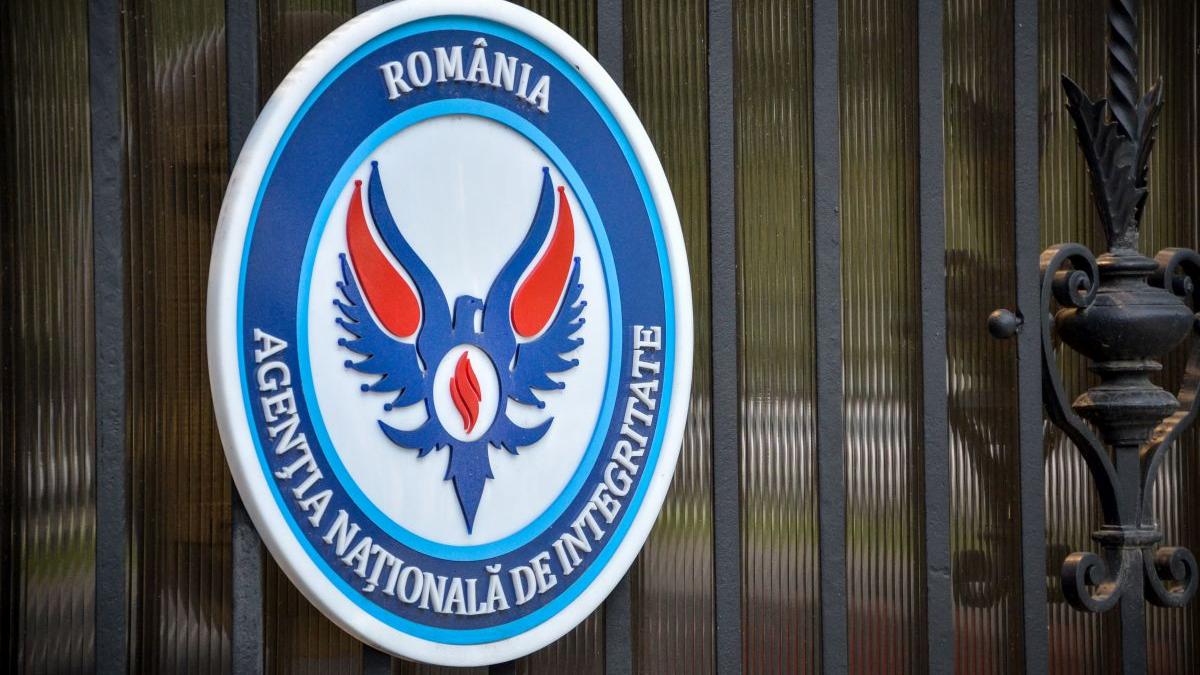 Discrepanțele flagrante din declarațiile de avere ale Cameliei Bogdan, ignorate de ANI de 14 luni