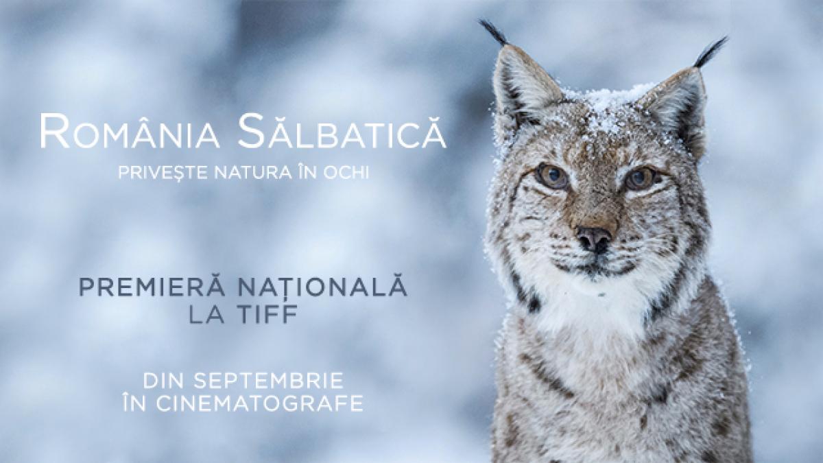 România Sălbatică, cel mai vast proiect de film documentar desfășurat în țara noastră, va avea premiera națională la TIFF