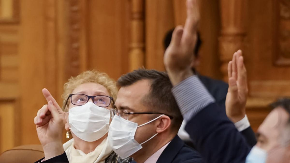 Renate Weber, Avocatul Poporului, a fost revocată 