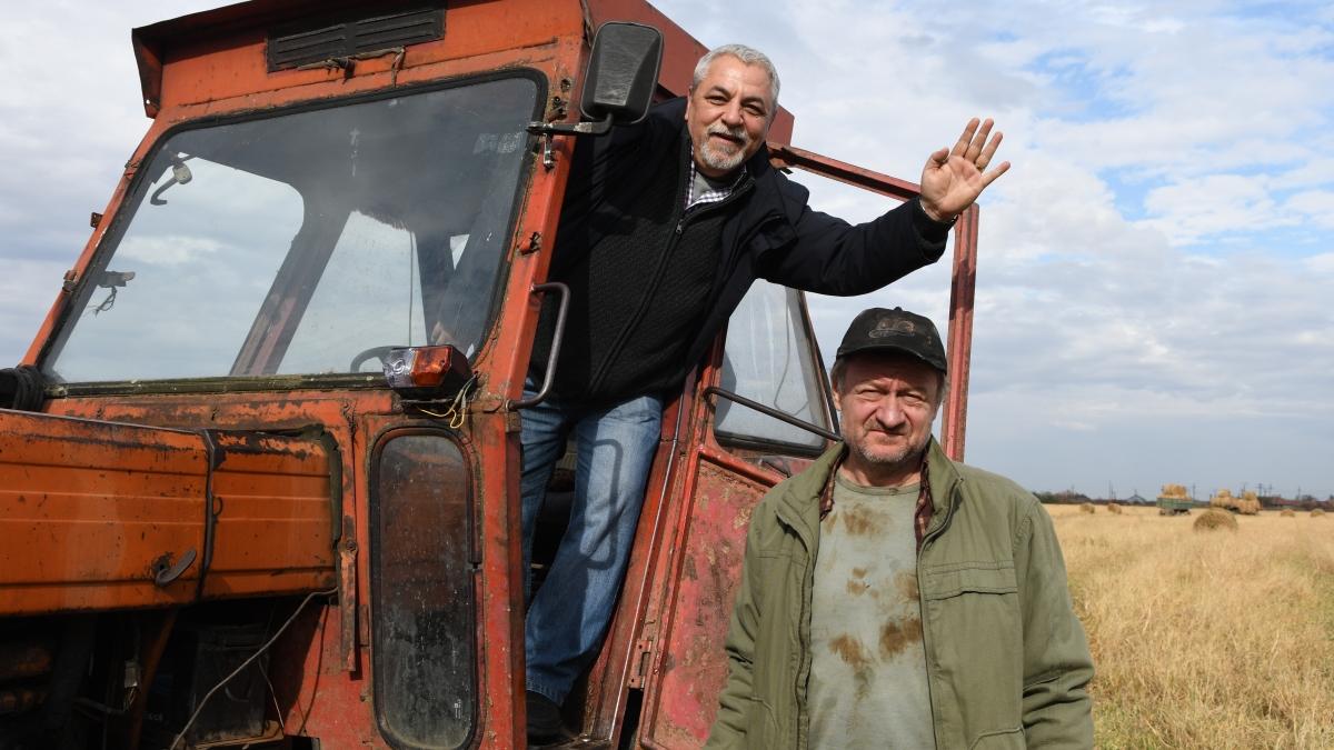 Maraton de cinema românesc la TIFF 2021  Record de filme în premieră mondială