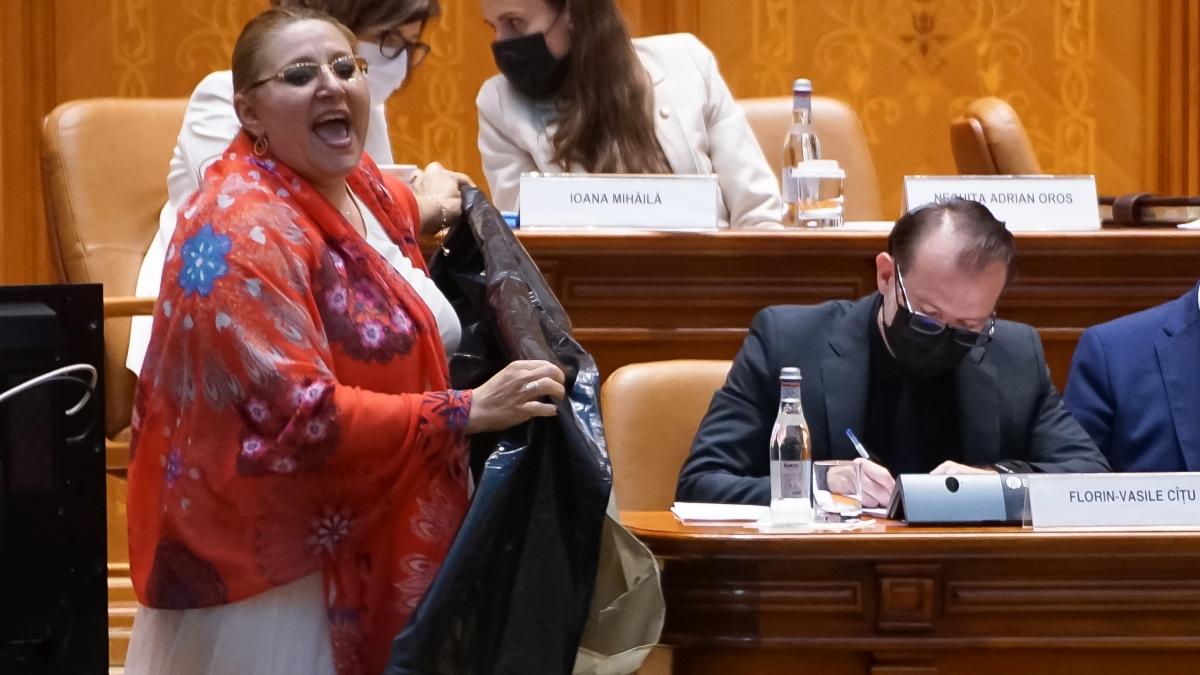 Senatorul Diana Șoșoacă ar putea determina schimbarea regulamentului Parlamentului