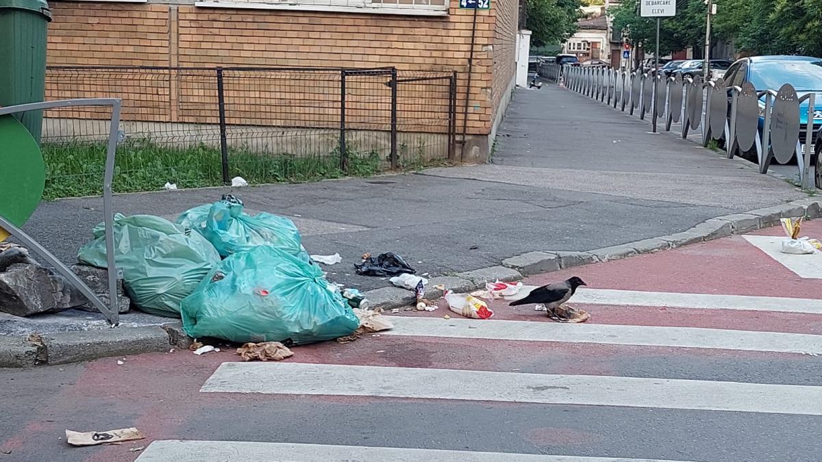 Ministerul Finanțelor: Romprest a prejudiciat Sectorul 1 cu 243 de milioane lei
