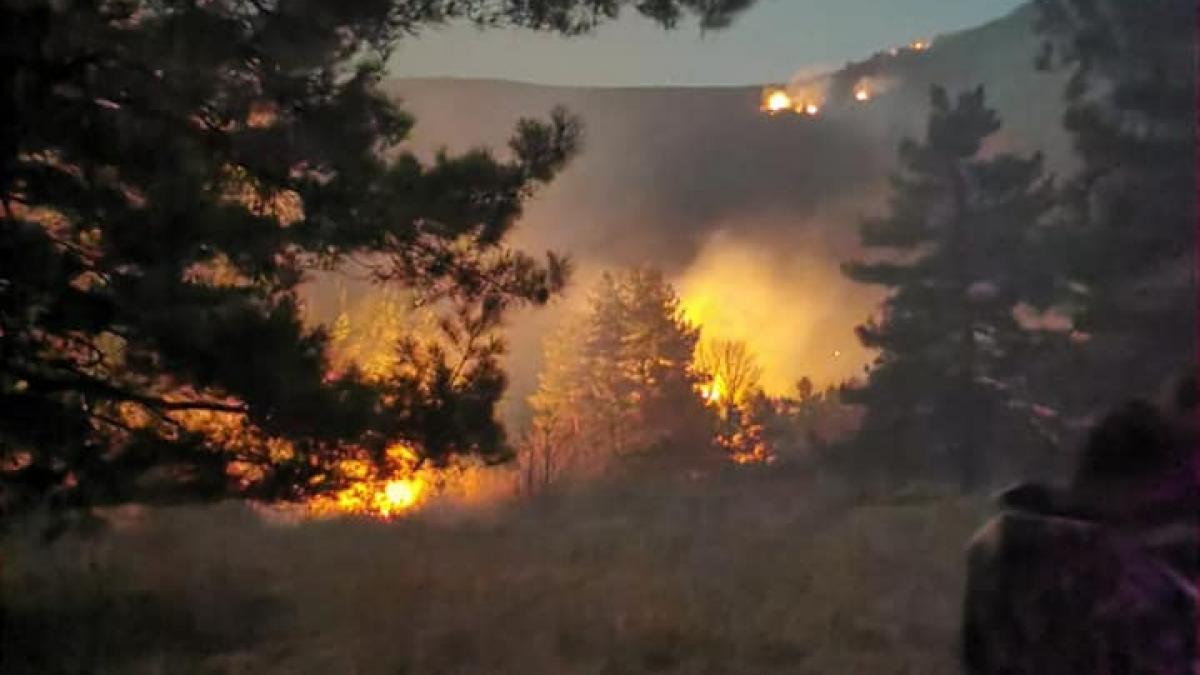 Incendiile de vegetaţie din Turcia continuă,13 dintre acestea ard necontrolat