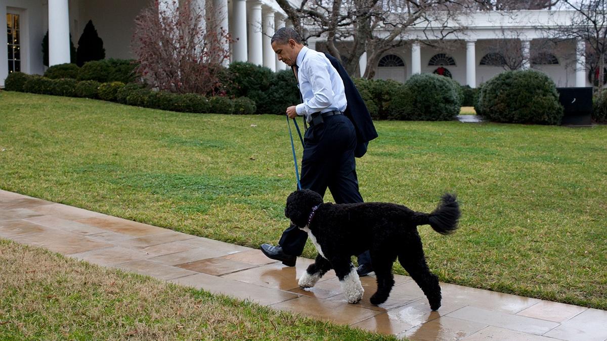 Barack Obama, surprins pe ringul de dans, la petrecerea de 60 de ani