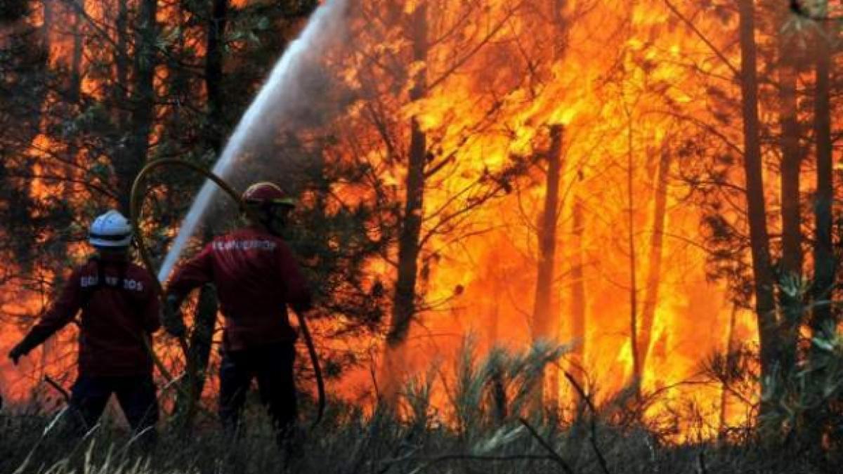Pompierii români din Grecia au ajuns acasă