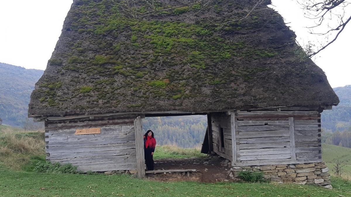 Dezastrul de la Ocoliş, o nouă filă în „Dosar România”