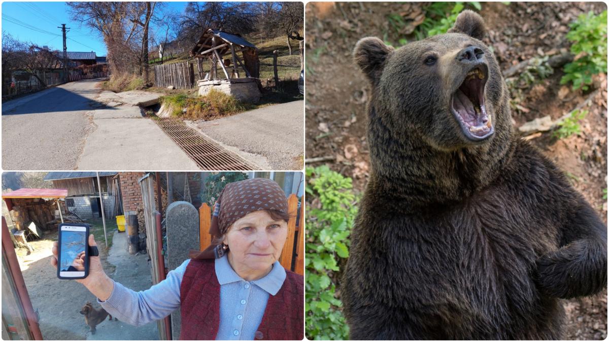 Povestea satului care înjură 112 și alungă urșii cu muzica populară