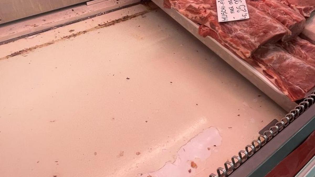 Mizerie, rugină și gândaci în mai multe piețe din București. Amenzile depășesc 135.000 lei