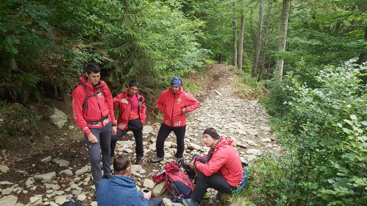 Turist atacat de viperă în Piatra Craiului