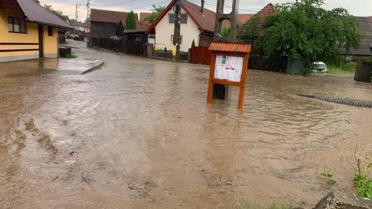 Surpare de teren în Sinaia, cu oameni evacuați. Inundaţii şi copaci doborâţi în 10 judeţe