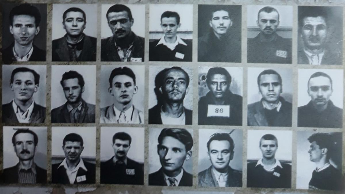 Proiecția filmului documentar „Reeducarea de la Pitești – Drama unei generații” în cadrul celei de-a XI-a ediție a Festivalului Internațional PROPATRIA – Tinere Talente Românești