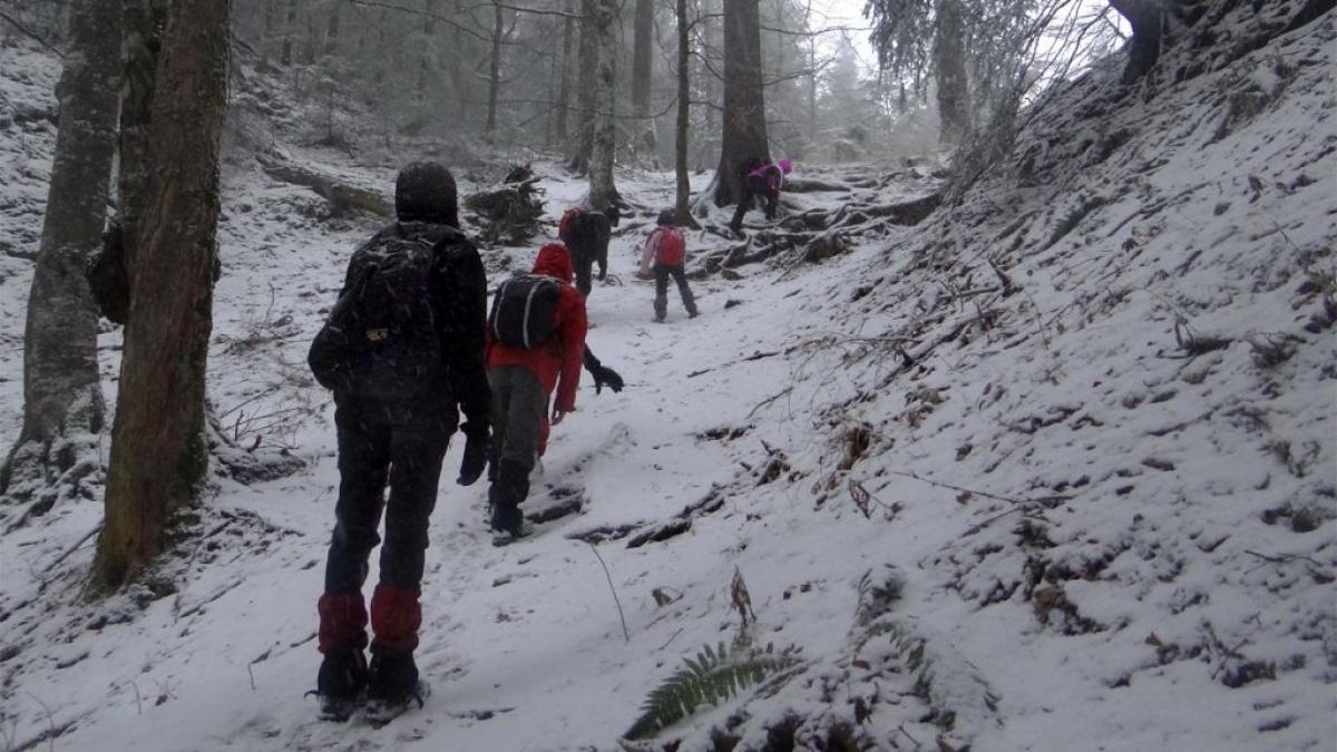 VREMEA în următoarele zile. Ploi în cea mai mare parte a țării. La munte va ninge