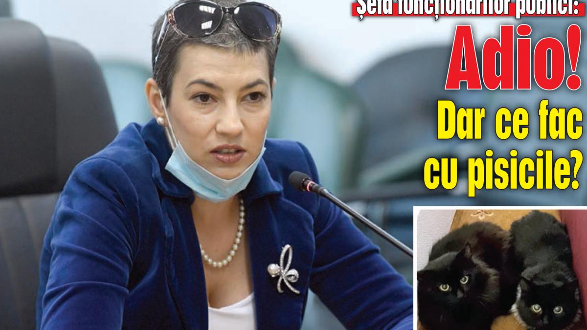 Șefa funcționarilor publici, după o nouă demitere: Adio! Dar ce fac cu pisicile?