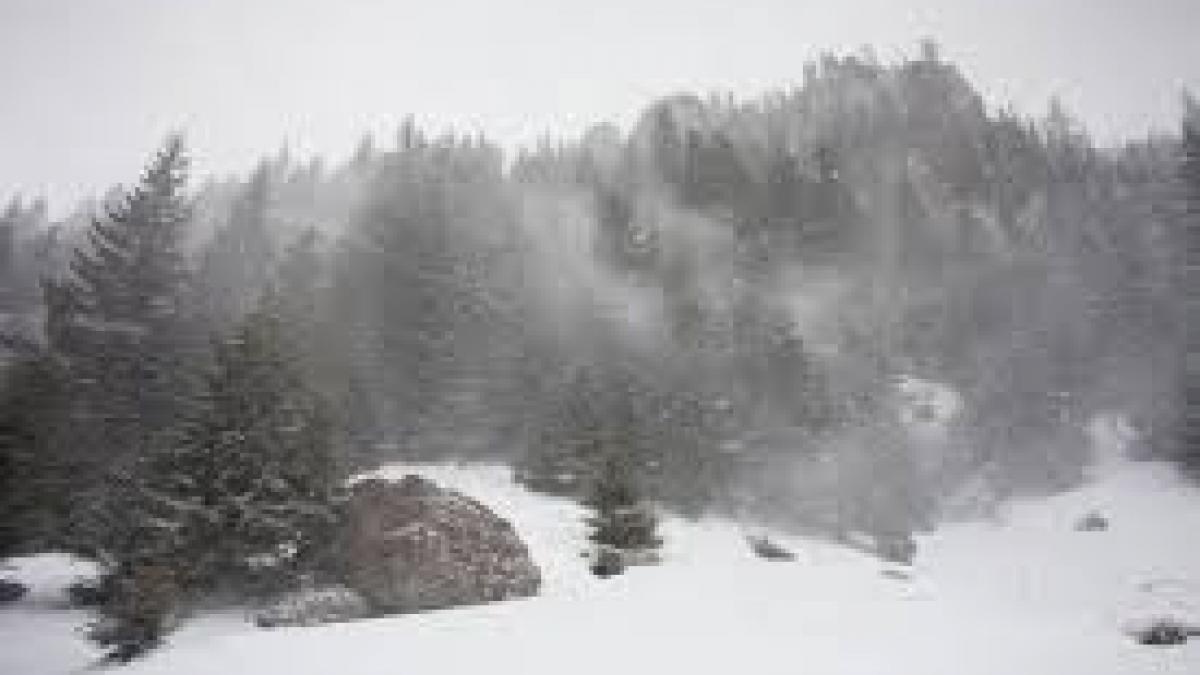Informare meteorologică de vânt puternic în toată țara. În unele regiuni este cod galben