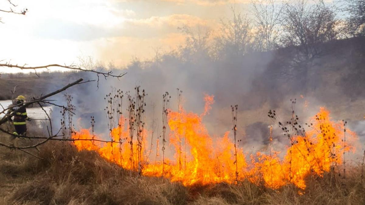 Pompierii, aduși la disperare de incendiatorii pădurilor