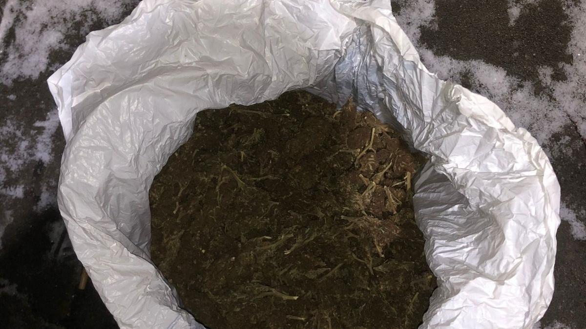 Bărbat reţinut de DIICOT pentru introducerea în ţară a 12 kilograme de canabis