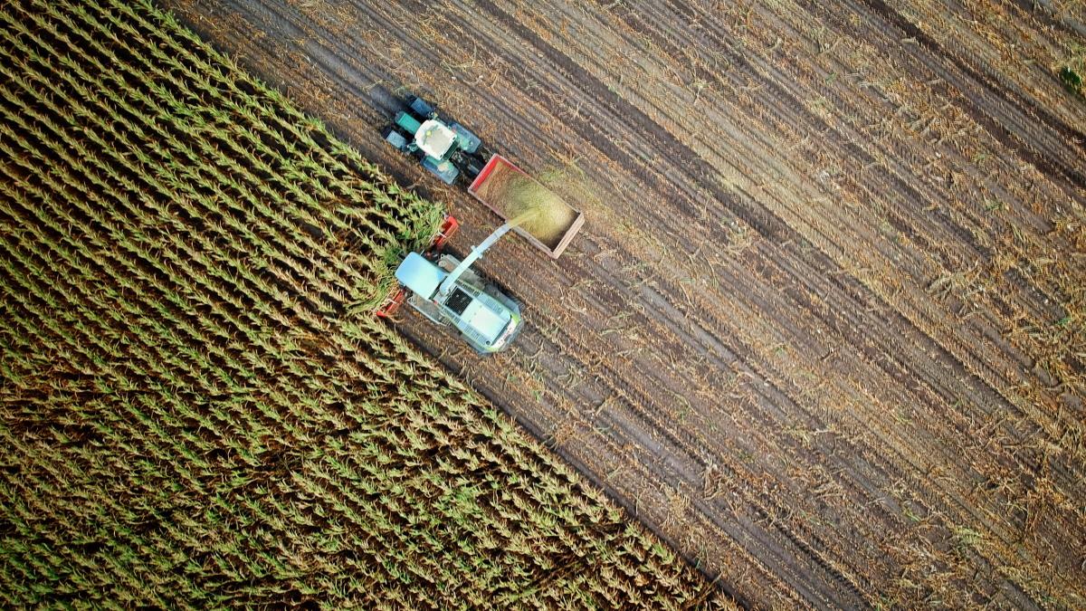 Prognoza agrometeo: Secetă în intervalul 18-24 martie 2022