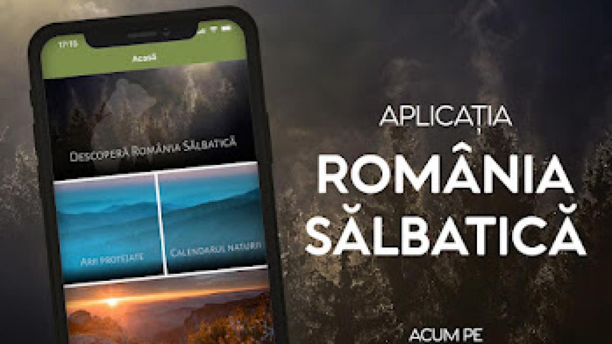 Aplicația România Sălbatică, un ghid complex despre natura țării noastre, este acum disponibilă!