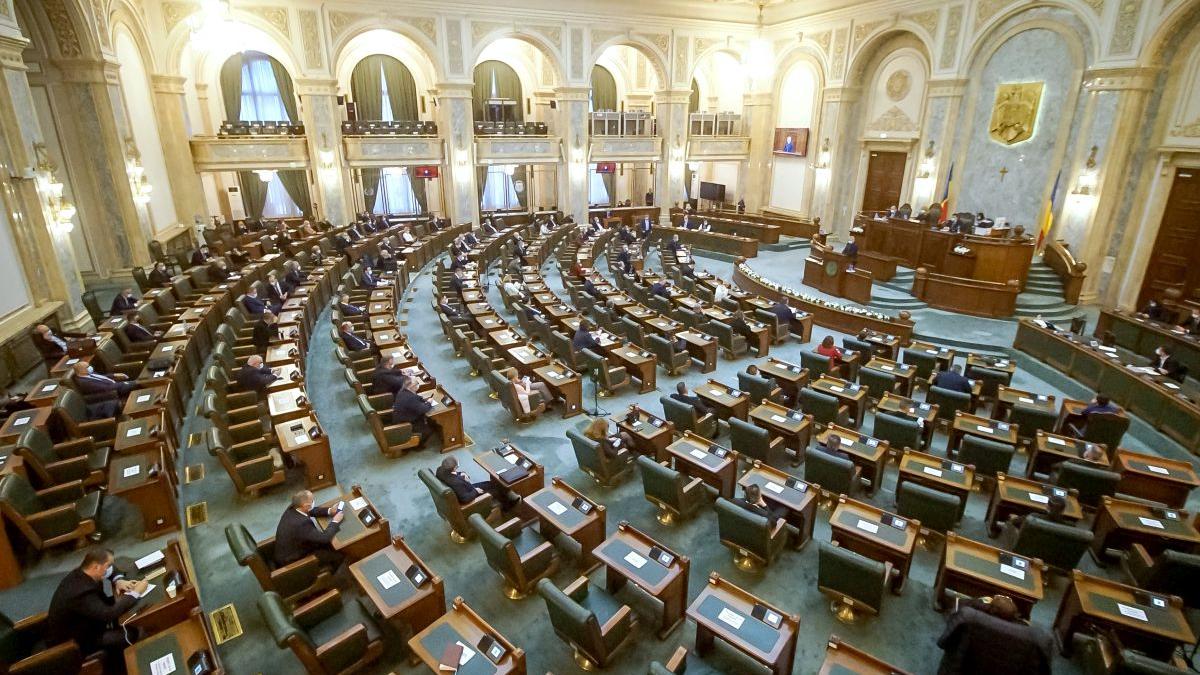Camera Deputaților a votat Legea activităților casnice