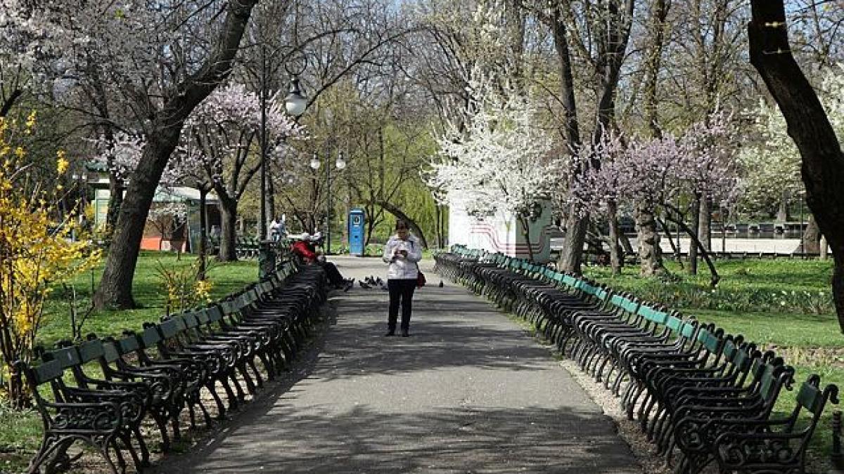Prognoză specială pentru Capitală: Vreme caldă, dar instabilă, cu maxime de 25 grade