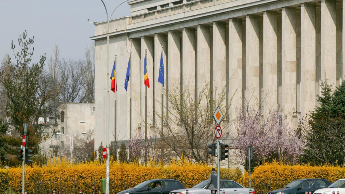 Guvernul organizeaza o noua ediţie a programului de internship. Cand au loc inscrierile 