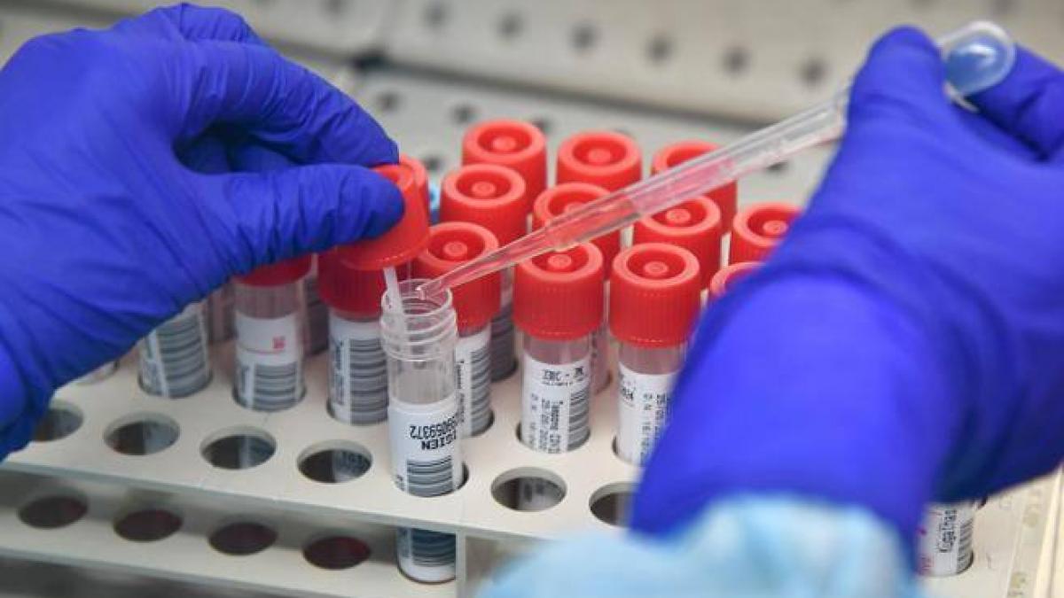 Schimbările climatice vor determina transmiterea a 4.000 de virusuri între mamifere, până în 2070