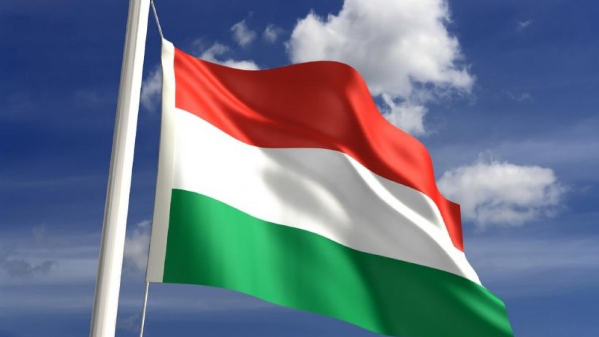 Cel mai mare producător de baterii din lume ar putea veni în Ungaria