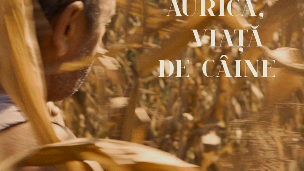 „Aurică, viață de câine” -  cum a ajuns un fost deținut personaj principal într-un film despre iubirea față de animalele abandonate