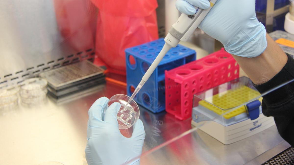 Criză sanitară în Irak. Prima epidemie de holeră din ultimul deceniu
