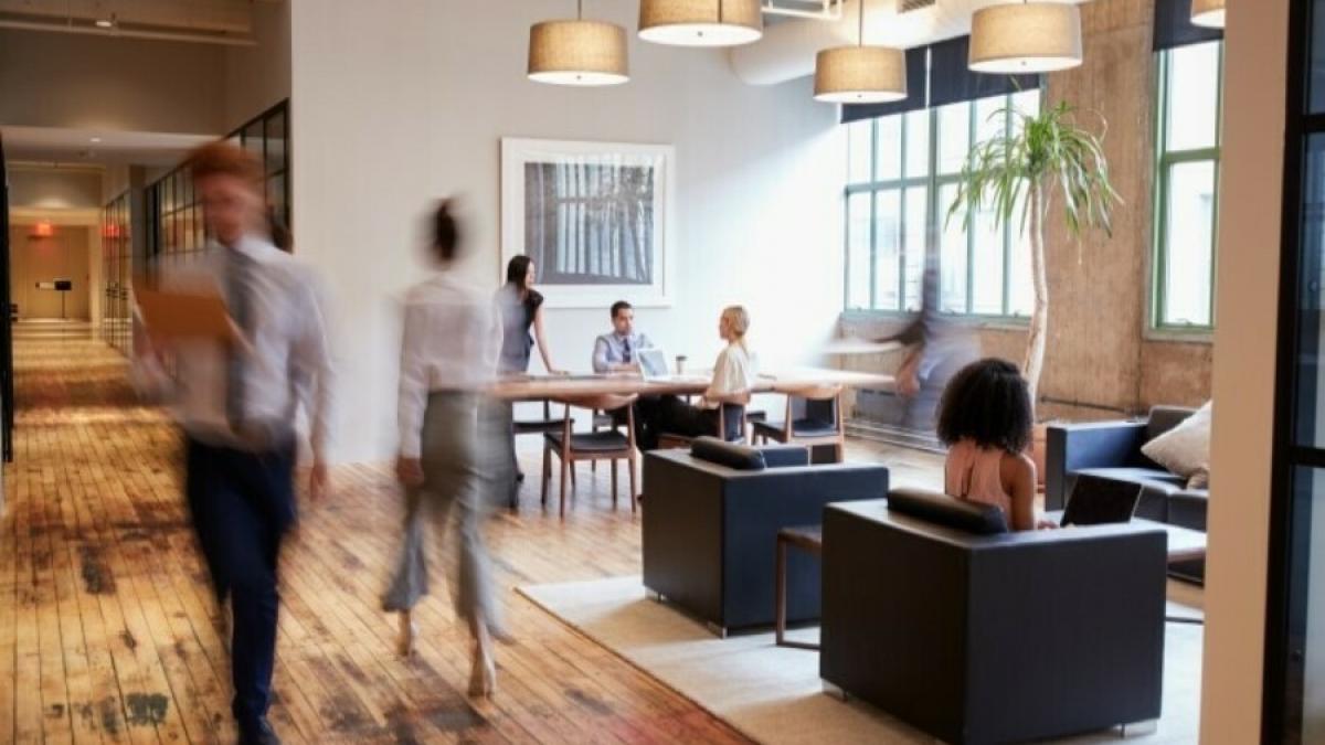 IMM-urile vor să renunțe la angajații part-time după modificarea Codului Fiscal