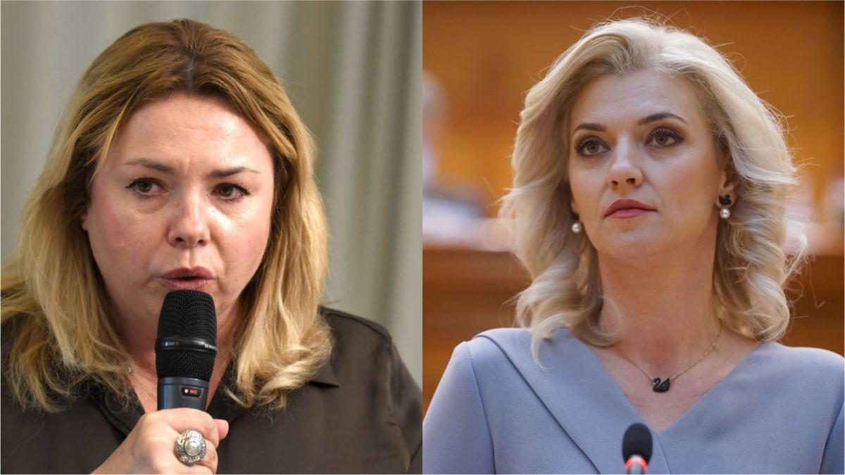 Top 2 „Averi” la Senat. Cine este mai avută - fosta sau actuala șefă a primei Camere a Parlamentului