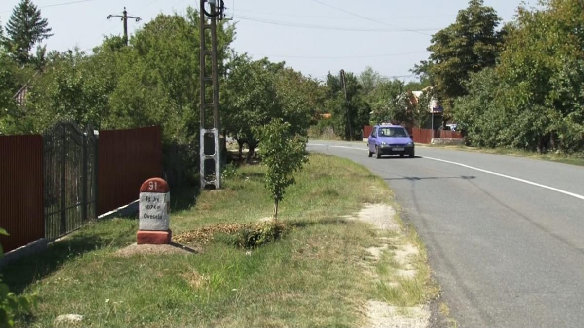 Nunta cu 10.000 de invitați a lui George Simion
