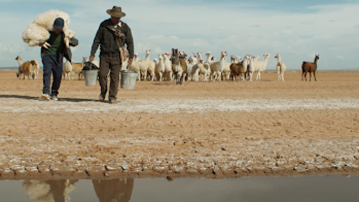 Casa noastră, filmul câștigător al trofeului Transilvania la TIFF 2022, în cinematografe din 16 septembrie