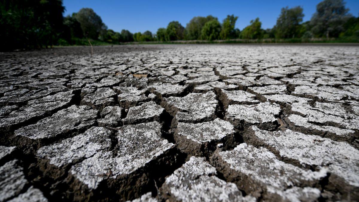 Seceta face prăpăd în România: 38 de județe sunt afectate
