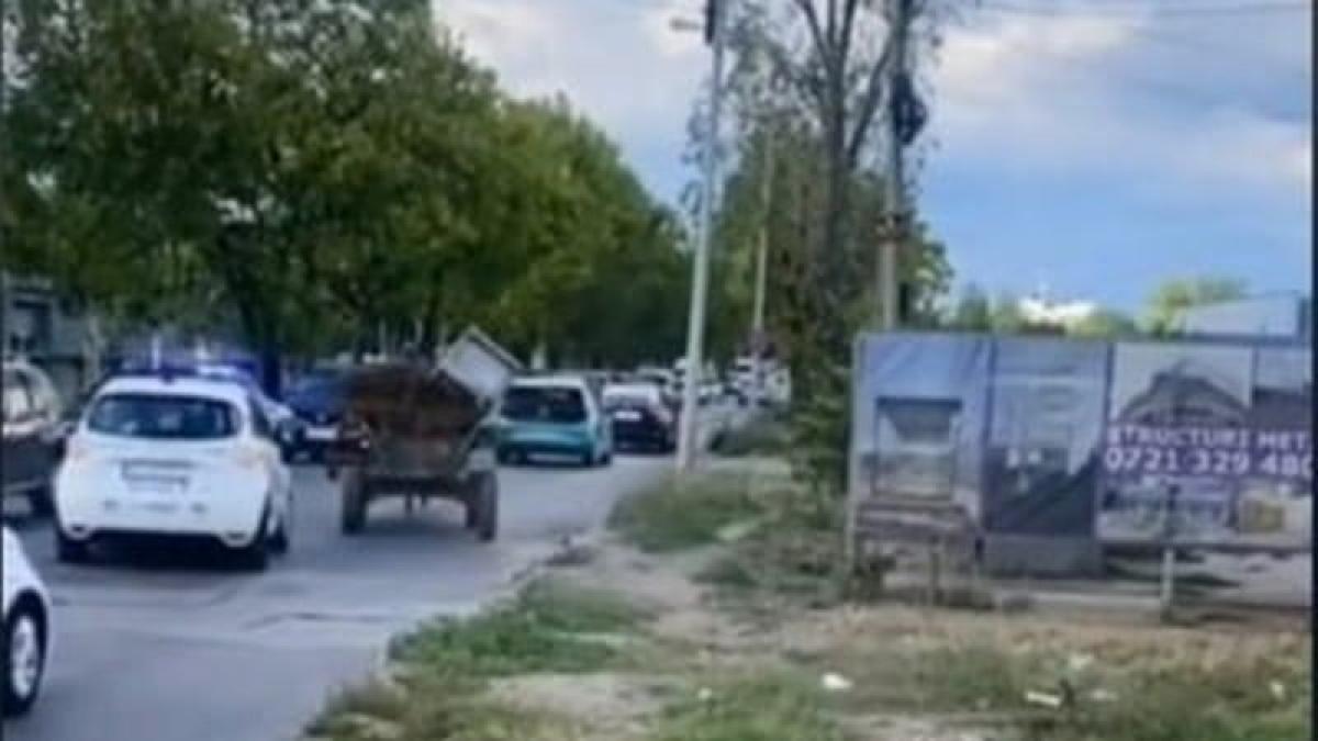 Păzea! Poliția locală, în acțiune