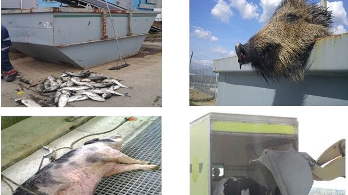 Deșeurile înfundă capitala! Bucureștenii aruncă în canalizare frigidere, televizoare, covoare, carcase de animale și traverse de cale ferată