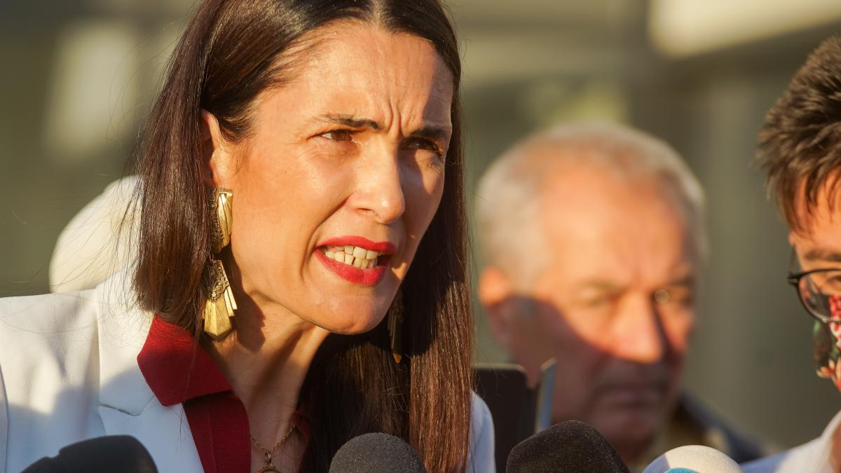 Clotilde Armand cere demiterea preşedintelui Agenţiei Naţionale pentru Achiziţii Publice pe care îl acuză de blocarea unor investiţii