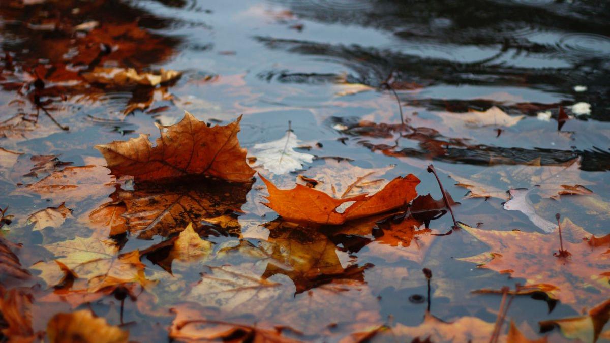 prognoza meteo cum se schimba vremea in urmatoarele zile