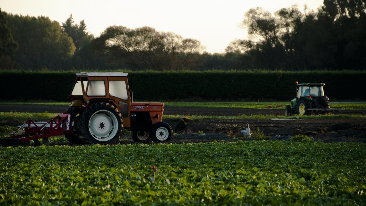 Sfârșit tragic! Un tânăr din Bihor a murit după ce a fost prins sub un tractor